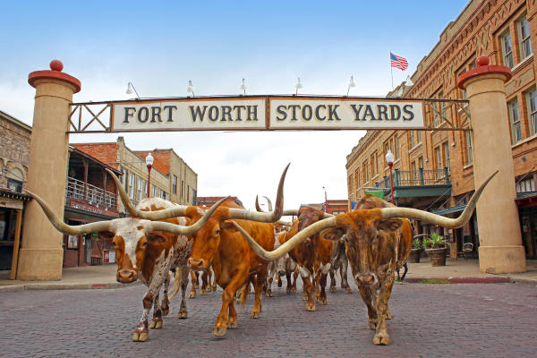 FortWorth(Cowtown) copy